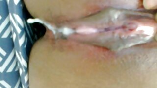 Travesti