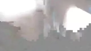 A madrasta sacanagem ...